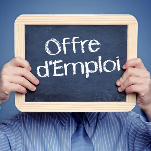 OFFRE D’EMPLOI du Comité Départemental d’Athlétisme de l’Eure EDUCATEUR SPORTIF - AGENT DE DEVELOPPEMENT CDI – 35H00 ANNUALISE